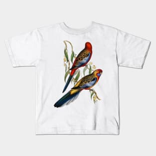 Adelaide Parakeet Vintage Illustration Kids T-Shirt